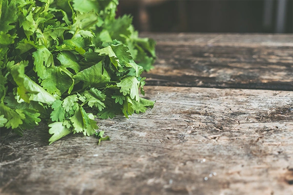 Green parsley on a wooden table